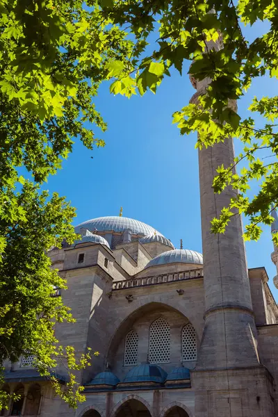 stock image Islamic background vertical photo. Suleymaniye Mosque and trees. Ramadan or laylat al-qadr concept.