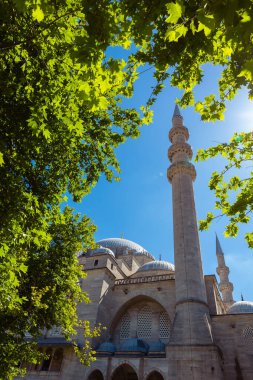 Ramazan veya İslami arkaplan fotoğrafı. Süleyman Camii ve Ağaç 'ın minare ve kubbeleri.