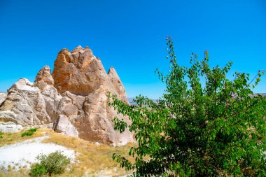 Peri bacaları ve bir ağaç. Kapadokya konsept fotoğrafını ziyaret et. Nevsehir 'deki Goreme manzarası.