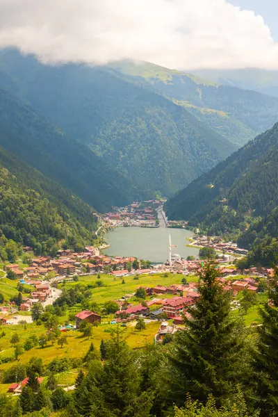 Uzungol, Trabzon 'da. Türkiye 'nin dikey arka plan fotoğrafını ziyaret edin. Türkiye 'nin Karadeniz bölgesindeki Uzungol Kasabası.