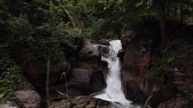 Yeşillik ormanda küçük bir şelale. Kayaların üzerinde akan suyun yavaş çekim videosu..