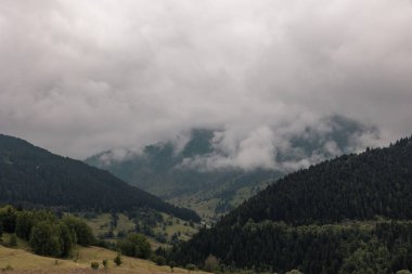 Ormanlı kasvetli sisli dağlar. Yazın ormanla kaplı dağların manzarası.