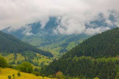 Karamsar ormanın manzarası dağları sisle kapladı. Artvin 'in Savsat ilçesine bağlı Karagol Sahara milli parkı.