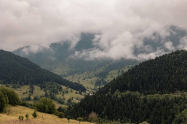 Sisli dağlar ve orman kaplı tepeler. Huysuz manzara fotoğrafı. Artvin 'in Savsat ilçesine bağlı Karagol Sahara Milli Parkı.
