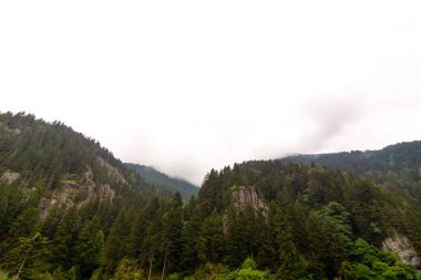 Orman örtülü dağlarla ve bulutlu gökyüzüyle manzara. Trabzon 'daki Altindere Vadisi Milli Parkı.
