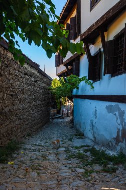 Safranbolu 'dan sokak manzarası, sokak kedisi ve tarihi evler. Safranbolu konsept fotoğrafını ziyaret edin.