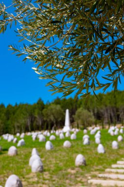 Ön planda zeytin dalı ve arka planda Sungubayiri Matryr Mezarlığı. Çanakkale Savaşları Gelibolu Tarihi Alanı.