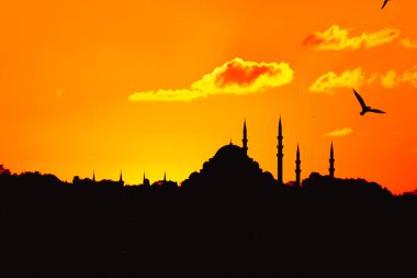 Gün batımında martı ve bulutlarla birlikte Süleyman Camii 'nin silueti. Ramazan veya İslami konsept fotoğrafı.