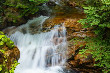 Kayalarda akan su. Ormanda küçük bir şelale. Manzara arkaplan fotoğrafı.