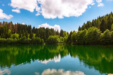 Bereketli ormanlarla çevrili bir göl manzarası. Türkiye 'nin Savsat ilçesindeki Karagol Gölü