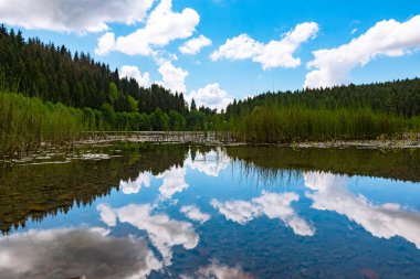 Bulutların ve ormanın yansımasıyla göl. Manzara arkaplan fotoğrafı. Türkiye 'nin Savsat Artvin ilçesinde Karagol Gölü.