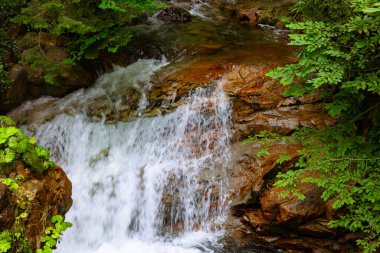 Yazın ormanın kayalıklarında akan dere ya da dere..