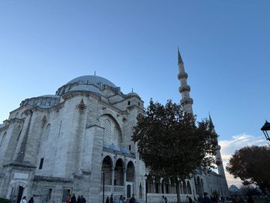 Süleyman Camii 'nin gündüz görüşü. Bahçeden gökyüzü açık. İstanbul Türkiye - 11.22.2024