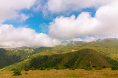 Orman dağlarla ve bulutlarla kaplıydı. Yazın dağların manzarası..