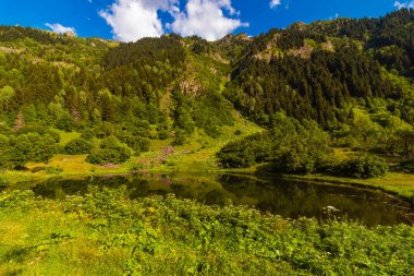 Arka planda gölün ve ormanın manzarası dağı kaplamıştı. Artvin Türkiye 'deki Rutav Gölü.