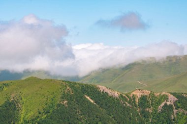 Yazın ormanın manzarası dağları ve yuvarlanan bulutları kaplıyordu..