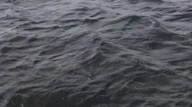 Kışın gri bir denizde ağır çekim dalgaları. Deniz yüzeyi 4k video.