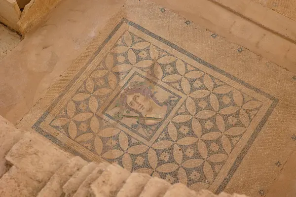 Ephesus 'un teras kompleksindeki bir evin zemininde bir mozaik. İzmir Türkiye - 2.1.2025