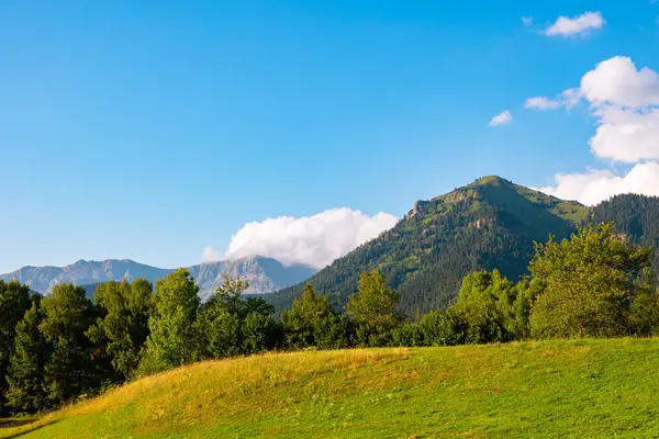 Kırsal bölgenin manzarası. Yazın dağları kaplayan ormanda yuvarlanan bulutlar..