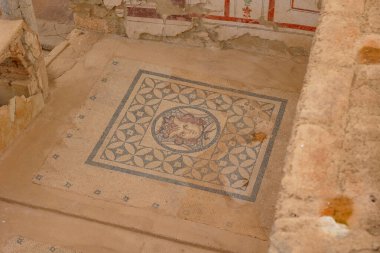 Ephesus 'taki Terrace binasının zemininde bir mozaik. İzmir Türkiye - 2.1.2025