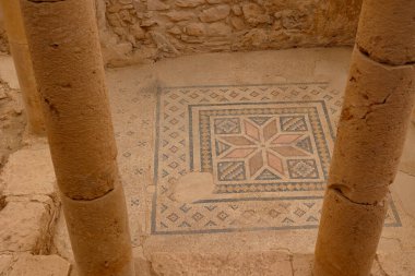 Nizip Gaziantep Türkiye 'deki Zeugma Arkeoloji sahasında bir villada mozaik - 6.25.2025