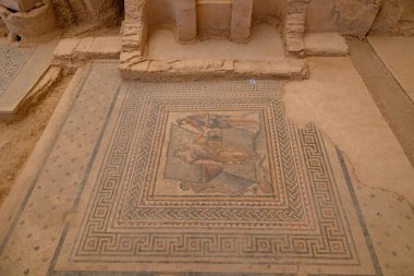 Zeugma Antik Kentinde bir villada mozaik. Nizip Gaziantep Türkiye 'deki Zeugma Arkeolojik Alanı - 6.25.2025