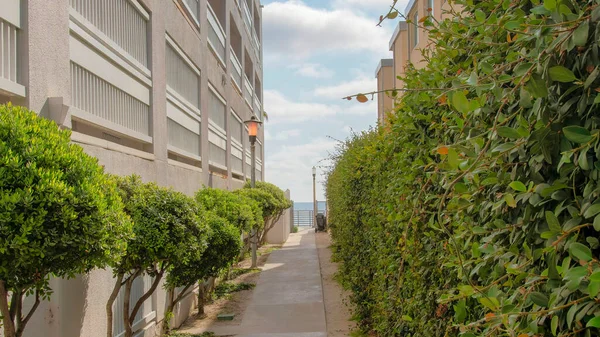 La Jolla, Kaliforniya 'daki ağaç çalılarının ortasında Panorama Beyaz Kabarık Bulutlu Beton Geçidi. Sağda sıra sıra çalılar var. Sol tarafta, beton binanın yanında, korkuluklu çalılar var..