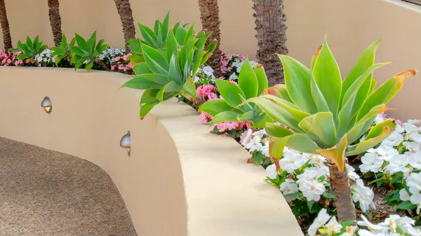 stock image Panorama Beautiful garden landscape with lights on the concrete wall at La Jolla, California. There is a curved concrete pavement on the left with small pebbles heading to the double doors on the right.