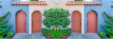 Soyut aynalı arka plan. San Francisco, California 'da beton girişi olan iki mahalle kemerli kapı. Ön kapıda bej duvarın yanında bitkiler var.