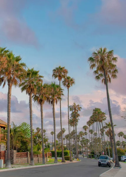 Вертикальні Хмари Паффі Заході Поселення Острові Джолла Каліфорнії Пальмами Вздовж — стокове фото