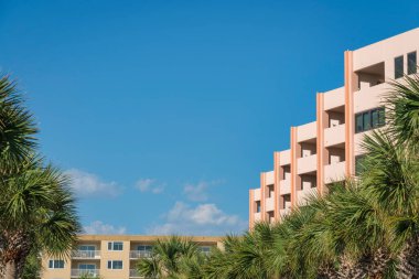 Destin, Florida- Mavi gökyüzüne karşı sıra sıra palmiye ağaçları ve konut binaları. Binaların önünde, ortada palmiye ağaçları var..