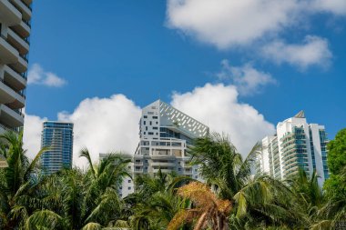 Hindistan cevizi ağaçları ve Miami, Florida 'daki modern konut binaları. Arkada değişik mimari yapılara sahip binalar var. Mavi gökyüzüne karşı, kabarık bulutlu..