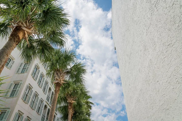 フロリダ州デスティンホテルは ヤシの木が立ち並ぶホテルです 曇り空の下 ビルの横の路地からの眺め — ストック写真