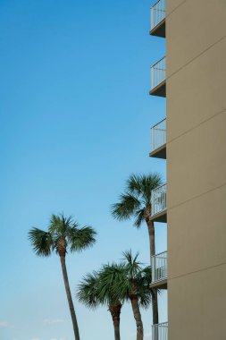 Destin, Florida 'da palmiye ağaçları manzaralı, balkonlarda beyaz parmaklıkları olan bir binanın yan tarafında. Arka planda açık gökyüzüne karşı palmiye ağaçları var..