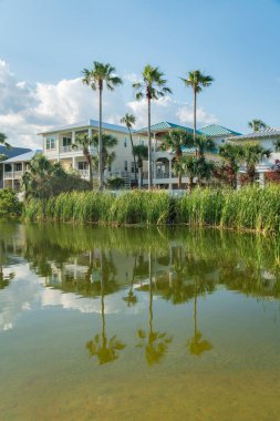 Destin, Florida- Lakefront suyu, uzun otların yansıması ve evlerin yakınındaki palmiye ağaçları. Göl kenarında balkonlu evler var..
