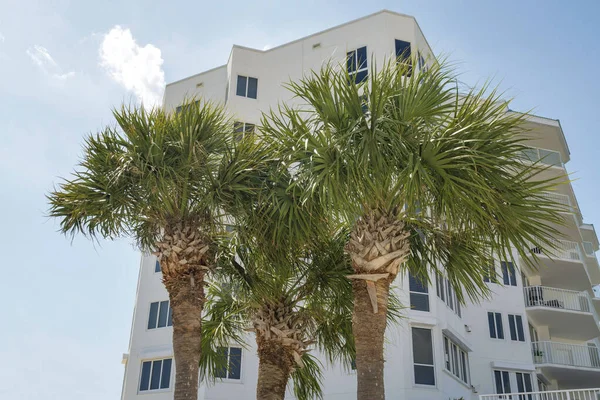 Destin, Florida. Dairenin dışında üç palmiye ağacı var. Beyaz duvar dış ve balkonları olan bir apartman dairesi manzarası.