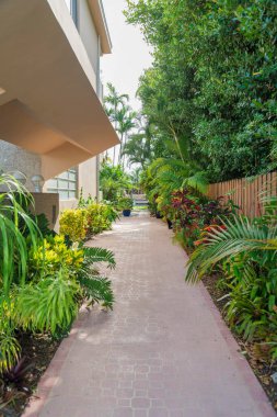 Binanın dışındaki yol fabrikaların yanında ve Florida 'daki Miami körfezindeki ahşap çitlerin orada. Sağdaki tahta çitin karşısında bir tane var..