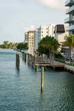 Florida 'da Miami körfezindeki bir rıhtımda kutuplar. Sağ taraftaki binaların manzarası soldaki suyun yanında gökyüzü arkaplanının karşısında..