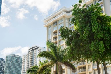Miami, FL 'deki parlak gökyüzü arka planına karşı sıra sıra dizilmiş apartman binalarının önündeki ağaçlar. Balkonları ve modern mimari dış görünüşü olan çok katlı binalar..
