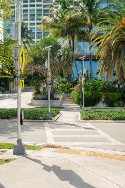 Miami, Florida 'da direğin yanında sarı işaretli yaya geçidi. Binaların önündeki çalıların ve ağaçların yanındaki kaldırıma çıkan işaretli yaya geçidi..