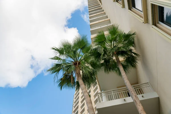 Palm trees near the balconies at the corner of the building undert the clouds in the sky- Miami, FL. Low angle view of a beige residential building with two palm trees at the front.