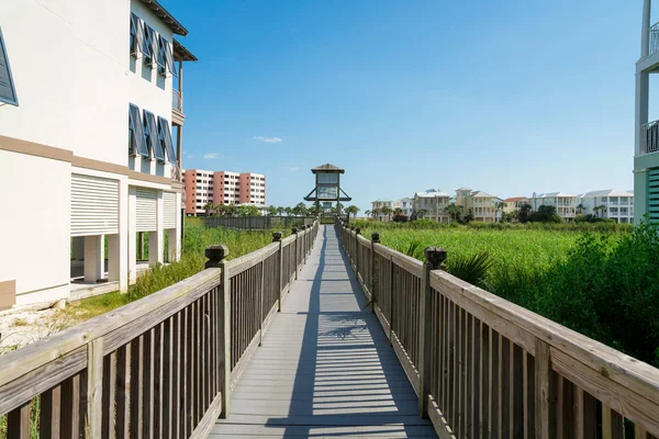 Boardwalk Tall Grasses Residential Area Destin Florida Views Houses Apartment — Stock Photo, Image