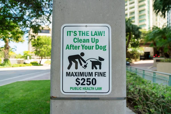 Jelentkezzen Egy Beton Posztra Kint Clean Your Dog Maximum Fine — Stock Fotó