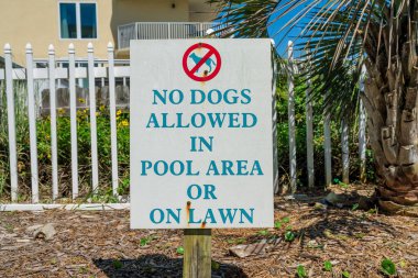 Destin, Florida- Havuz ya da Çimenlikte Köpekler Yasaktır yazan bir tabela. Santrallerin ve çitlerin yakınındaki bir tabelaya yakın çekim yap ve arka planda ev inşa et..