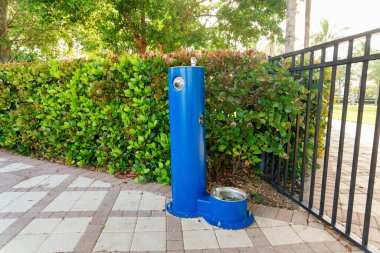 İnsan ve köpek çeşmesi, Miami, Florida 'daki parmaklıkların ve çalılıkların yanında. Dışarıdaki beton kaldırımda mavi bir çeşme..