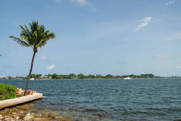 迈阿密湾海滨在佛罗里达蓝天背景的映衬下 在海岸的前面有一棵椰子树 在对面的陆地上也有一艘船 — 图库照片