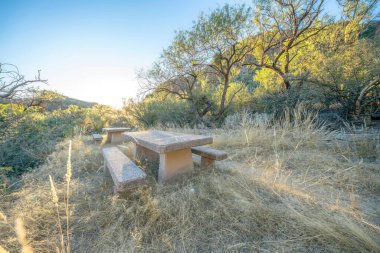 Tucson, Arizona 'daki Sabino Canyon Eyalet Parkı' nda gün batımında kamp alanı. Ağaçların yanındaki çayırlarda koltukları olan beton bir piknik masası ve yan taraftaki dağların manzarası var..