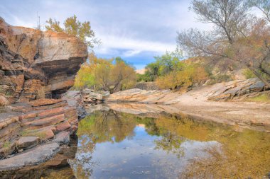 Sabino deresi Tucson, Arizona 'daki Sabino Canyon Eyalet Parkı' nda. Ağaçlı, kayalık kıyıları ve arka planda bulutlu gökyüzü olan sessiz bir dere..