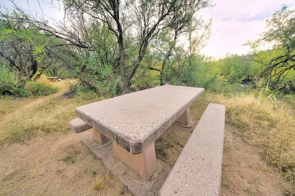 Concrete table with seats on a campground at Sabino Canyon State Park in Tucson, AZ. Picnic table near the wild plants and trees against the white sky at the back.