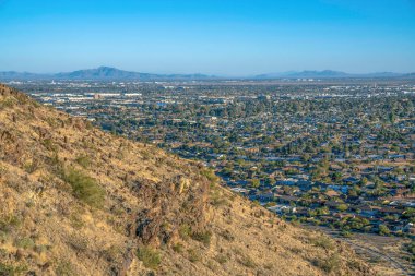 Anka Kuşu, Arizona- Pima Kanyonu 'ndaki dağ yamacı aşağıdaki yerleşim alanlarının manzarasına karşı. Önünde çöl bitkileri olan bir yamaç ve açık gökyüzü arka planına karşı bir mahalle..